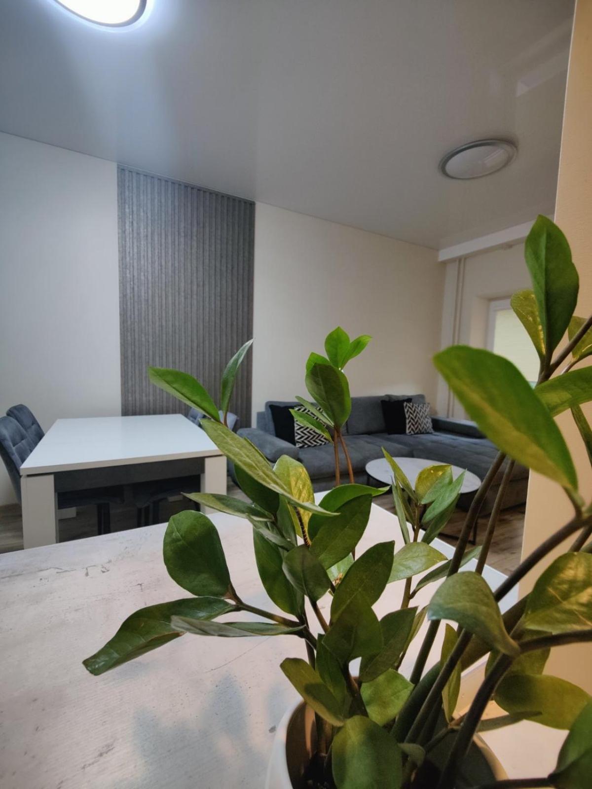 V15 Apartment Druskininkai Exteriér fotografie